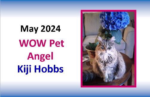 MAY 2024 WOW Pet Angel